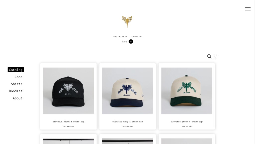 Elevatus NYC — website preview